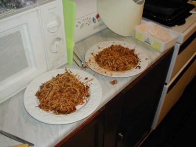 Lampshade and Spag Bol