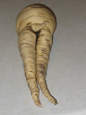 My parsnip's got a penis!