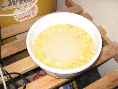 Bowl with Ginger Beer fermenting